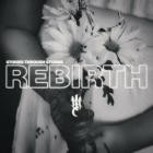 Stories Through Storms - Rebirth