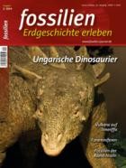 FOSSILIEN - Erdgeschichte erleben 01/2024