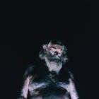 Nothing-The Great Dismal-24BIT-48KHZ-WEB-FLAC-2020-FLACCiD