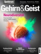 Spektrum Gehirn und Geist 11/2025