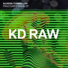 Bjoern Torwellen - Fractured Grain EP
