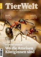 TierWelt 16/2025