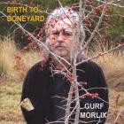 Gurf Morlix - - Birth To Boneyard  