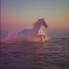 Eloy - Like Waves To The Sea