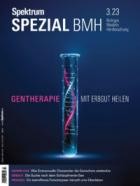 Spektrum Der Wissenschaft SPEZIAL Biologie Medizin Hirnforschung 03/2023