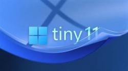 tiny11 Core 24H2 Build 26100.2314 (x64)