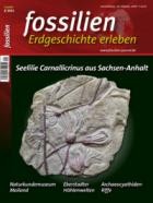 FOSSILIEN - Erdgeschichte erleben 01/2023