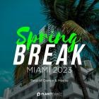 Spring Break Miami 2023 (Best of Dance & House)