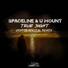 SpaceLine  UMount - True Sight (Victor Special Remix)