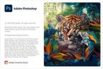 Adobe Photoshop 2024 v25.2.0.196 Portable (x64)