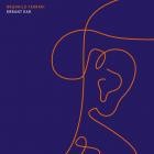 Brunhild Ferrari - Errant Ear