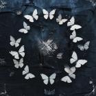 DEADEND - The Butterfly Effect