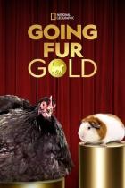 Auf.alle.Felle.Gold.S01E02.GERMAN.DL.DOKU.WEB.h264-PtBM