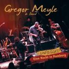Gregor Meyle und Band - Eine Nacht in Hamburg (Unplugged)