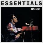 Stevie Wonder - Essentials