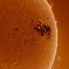 Damne & Nicko Shuo - Dark Forest EP