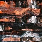 Barrens - - Corpse Lights  