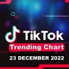 TikTok Trending Top 50 Singles Chart 23.12.2022