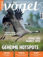 Voegel - Magazin fuer Vogelbeobachtung 82/2024