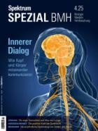 Spektrum Der Wissenschaft SPEZIAL Biologie Medizin Hirnforschung 04/2025