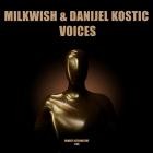 Milkwish and Danijel Kostic - Voices