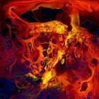 Ingrina - Navrende Lys