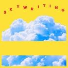 Andrew McMahon In The Wilderness - Skywriting