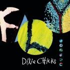 The Chicks - - Fly  
