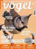 Voegel - Magazin fuer Vogelbeobachtung 78/2024