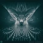 Sense Datum - Echo-Mathmatikal