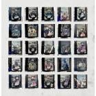 Sarathy Korwar - There Is Beauty, There Already