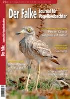 Der Falke - Journal fuer Vogelbeobachter 07/2024