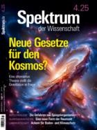 Spektrum Der Wissenschaft 04/2025