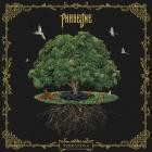 PhaseOne - TERRANOVA