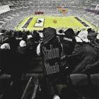 Young Swansii - STADIUM MUSIK