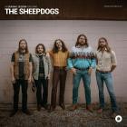 The Sheepdogs - OurVinyl Sessions