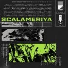 Scalameriya - Ecdysis