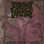 Festering Explosion - Diagnosis Of Bodily Collapse