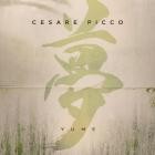 Cesare Picco - Yume