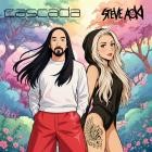 Cascada x Steve Aoki - Everytime We Touch