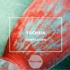 Lucio Arrudah - Fuchsia