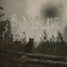 The Answer Lies In The Black Void - Transcendental