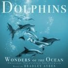 Bradley Ayres - Dolphins: Wonders of the Ocean (Original Television