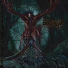 Anal Stabwound - Enshrining the Many-Fingered Grasp
