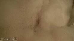 MeetMadden.19.12.11.Bath.Jets.XXX.1080p.MP4-LEWD