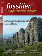 FOSSILIEN - Erdgeschichte erleben 06/2023