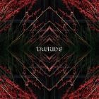 TAURIDS - Taurids