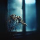 ADILR-This Little Life- XDIG01 -16BIT-WEB-FLAC-2025-TR