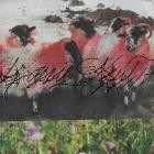 Kassie Krut - Kassie Krut (Expanded EP)