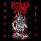 Rotting Demise - Casket Birth